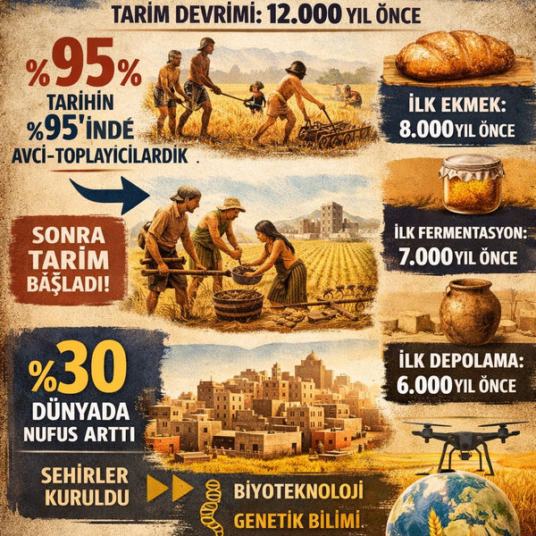 Gıdanın Teknolojik Evrimi ve Gelecek İnovasyonları