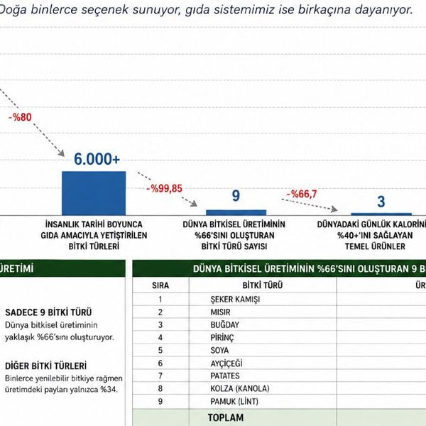 Doğanın Unutulan Hazineleri ve Geleceğin Gıda İnovasyonu