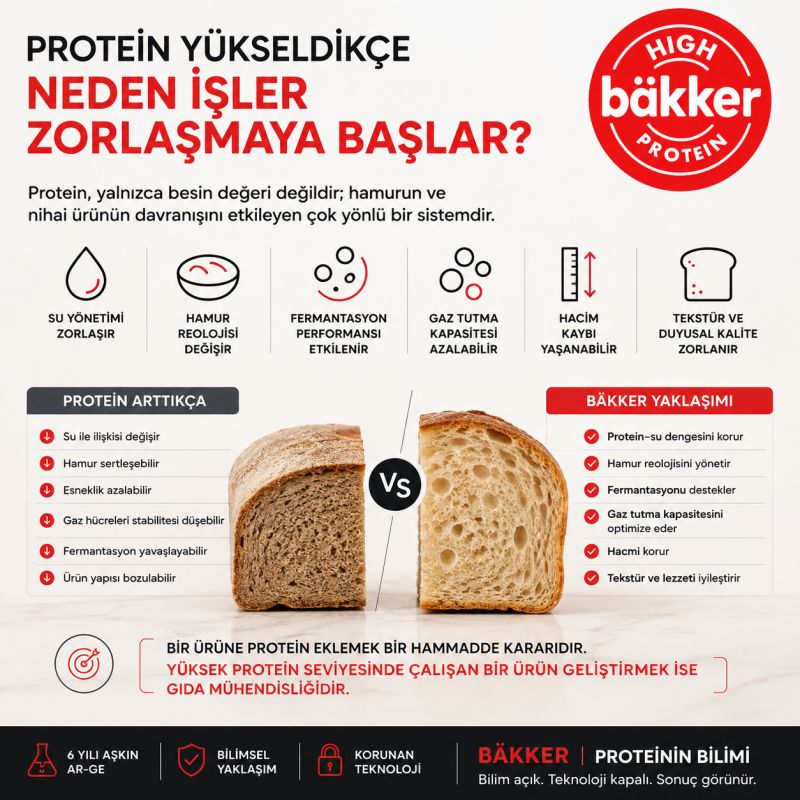 Proteini Artırmak ve Proteini Çalıştırmak Arasındaki Mühendislik Farkı